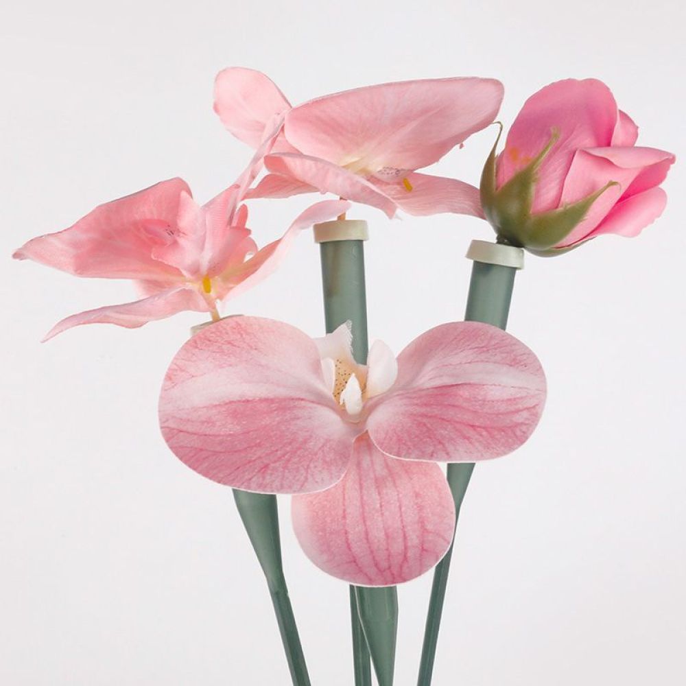 Florist Supply Shop - Прозрачные пластиковые флаконы для хранения воды